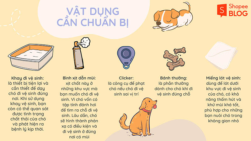 Bí Quyết Huấn Luyện Chó Con Đi Vệ Sinh Đúng Chỗ Chỉ Trong 7 Ngày