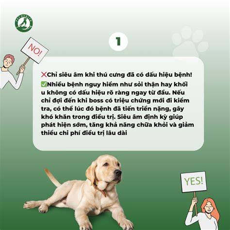 7 Dấu Hiệu Cảnh Báo Khẩn Cấp Bệnh Lý Ở Thú Cưng Bạn Cần Biết Ngay