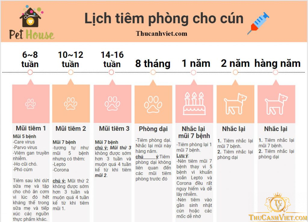 Lịch Tiêm Phòng & Tẩy Giun Tiêu Chuẩn Cho Chó Mèo (Cập Nhật 2026)