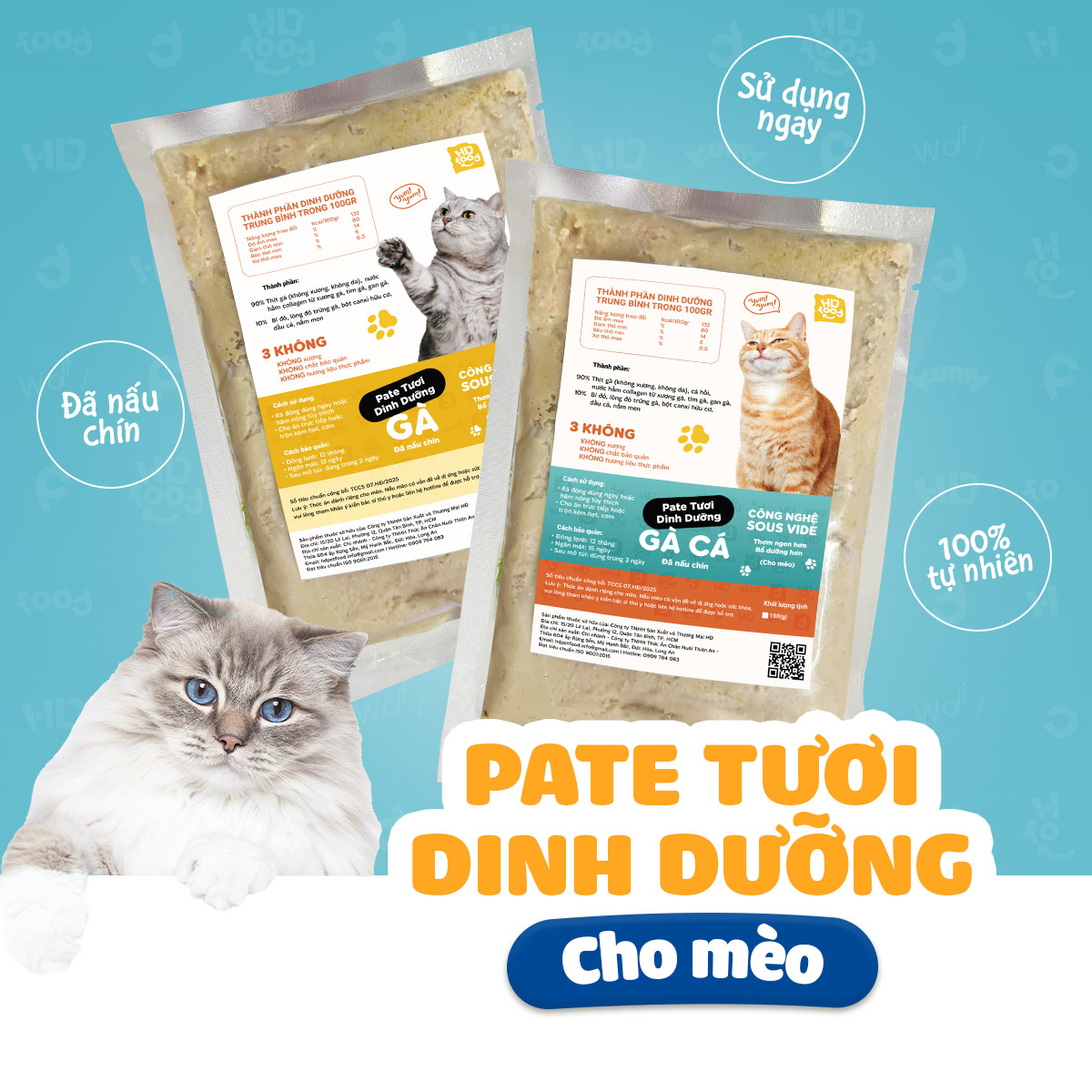Giải Mã Dinh Dưỡng Cho Mèo: Hạt Khô, Pate Hay Thức Ăn Tươi (Raw Food)?